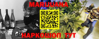 шишки Лесосибирск