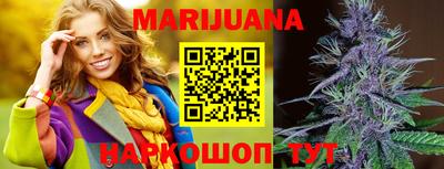 шишки Лесосибирск