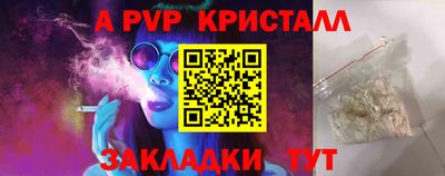 шишки Лесосибирск